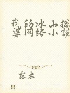 我的冰山总裁老婆网络小说