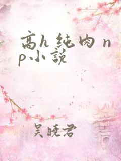 高h 纯肉 np小说