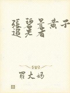 张碧晨黄子弘凡追光者