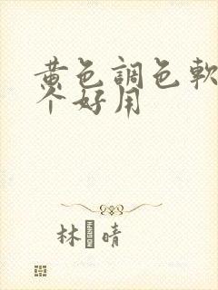 黄色调色软件哪个好用