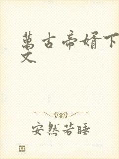 万古帝婿下载全文