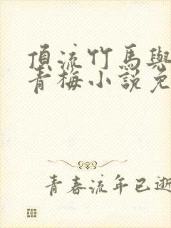 顶流竹马与助理青梅小说免费阅读最