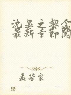 沈晏之黎念小说最新章节阅读