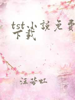 tst小说免费下载
