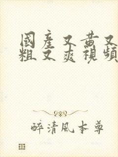 国产又黄又猛又粗又爽视频