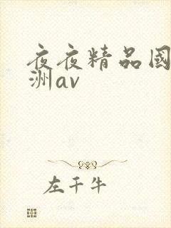 夜夜精品国产亚洲av