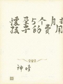 怀孕5个月打掉孩子的费用