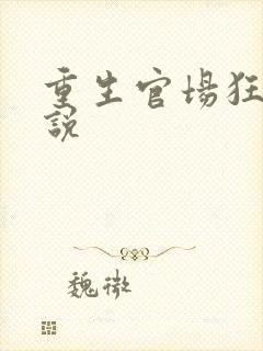 重生官场狂飙小说