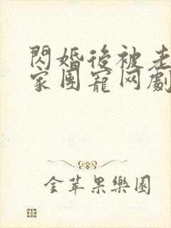 闪婚后被老公全家团宠网剧