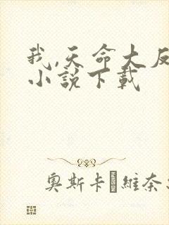 我,天命大反派小说下载