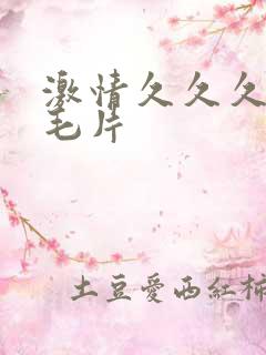 激情久久久久久毛片