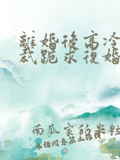 离婚后高冷女总裁跪求复婚