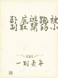 卧底逃跑被攻强制取关的小说叫什么