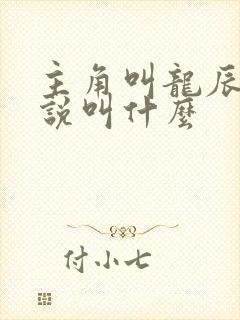 主角叫龙辰的小说叫什么