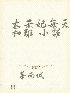 太子妃每天都想和离 小说