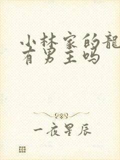 小林家的龙女仆有男主吗