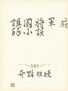 镇国将军府嫡女的小说