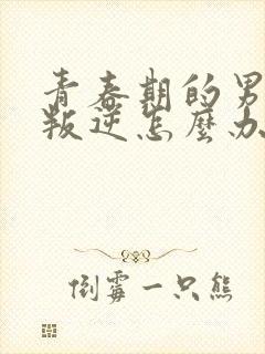 青春期的男孩子叛逆怎么办