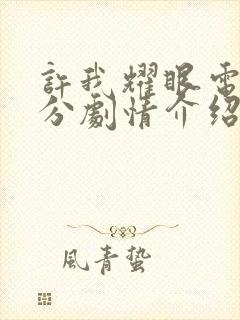 许我耀眼电视剧分剧情介绍