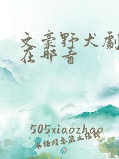 文豪野犬剧场版在哪看