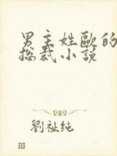 男主姓欧的霸道总裁小说