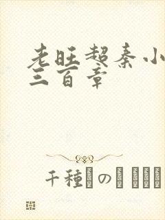 老旺超秦小雨第三百章