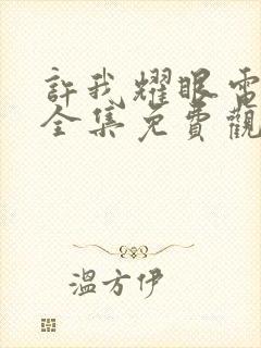 许我耀眼电视剧全集免费观看全集