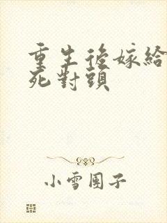 重生后嫁给前夫死对头