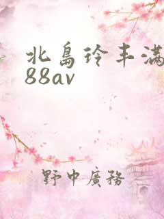 北岛玲丰满人妻88av