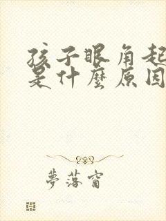 孩子眼角起眼屎是什么原因