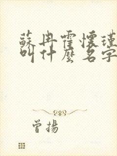 苏冉霍怀瑾小说叫什么名字来着