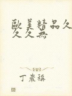 欧美精品久久久久久无