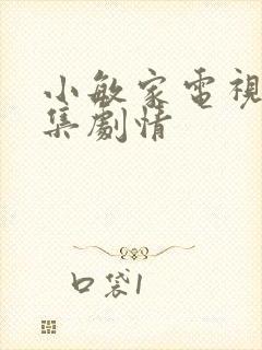 小敏家电视剧全集剧情