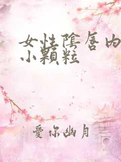 女性阴唇内口长小颗粒