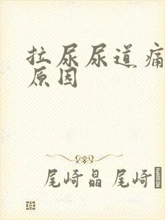 拉尿尿道痛什么原因