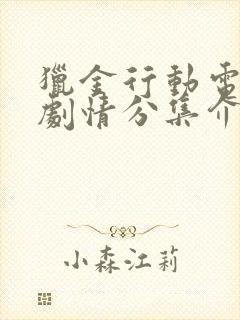 猎金行动电视剧剧情分集介绍