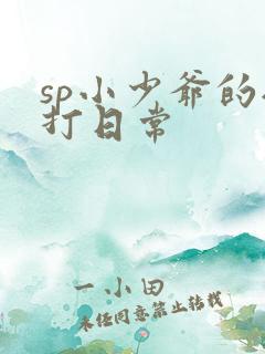 sp小少爷的挨打日常
