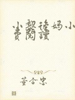 小黎后妈小说免费阅读