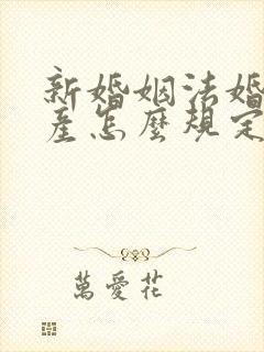 新婚姻法婚前财产怎么规定