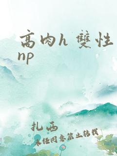 高肉h 双性 np