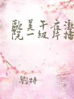 欧美午夜激情影院一级片播放