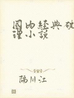 国内经典破案推理小说