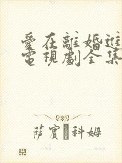 爱在离婚进行时电视剧全集免费观看