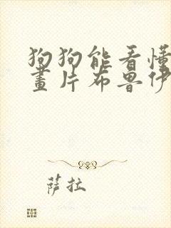 狗狗能看懂的动画片布鲁伊