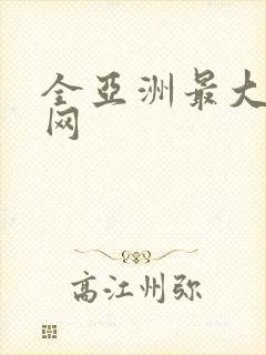 全亚洲最大av网