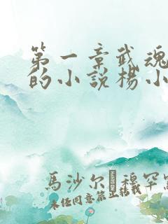 第一章武魂世界的小说杨小天