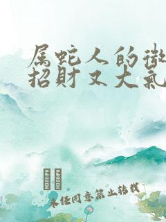 属蛇人的微信名招财又大气的