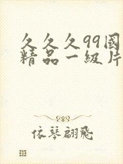 久久久99国产精品一级片
