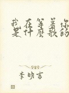 我在等着你回来是什么歌的歌词