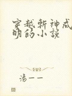穿越斩神成为神明的小说
